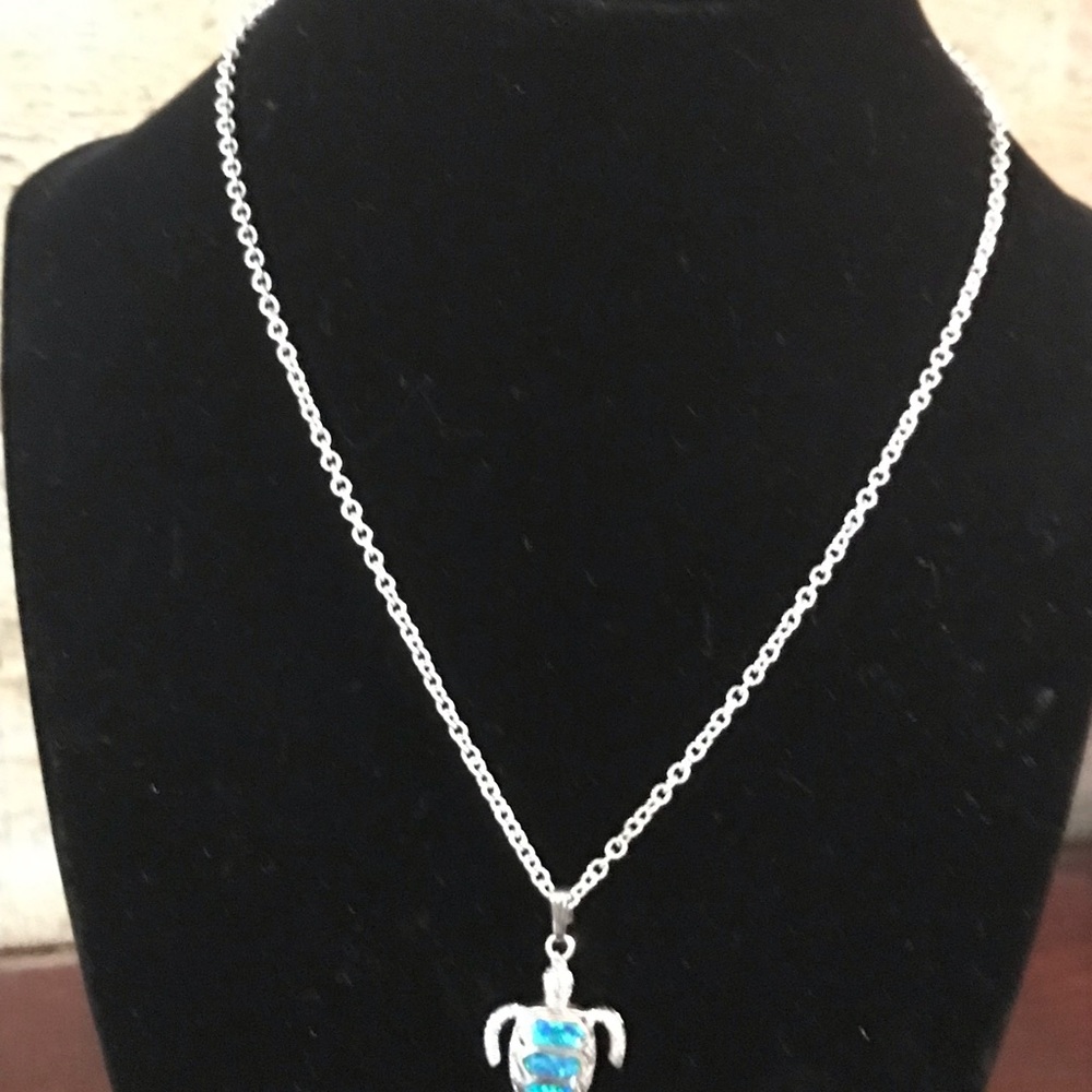 SS pendant on a SS chain